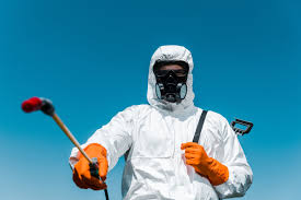 Best Real Estate Pest Inspections  in Ship Bottom, NJ